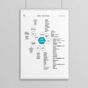 Vitruvian Advance Vocabulary Posters - Available in 2025